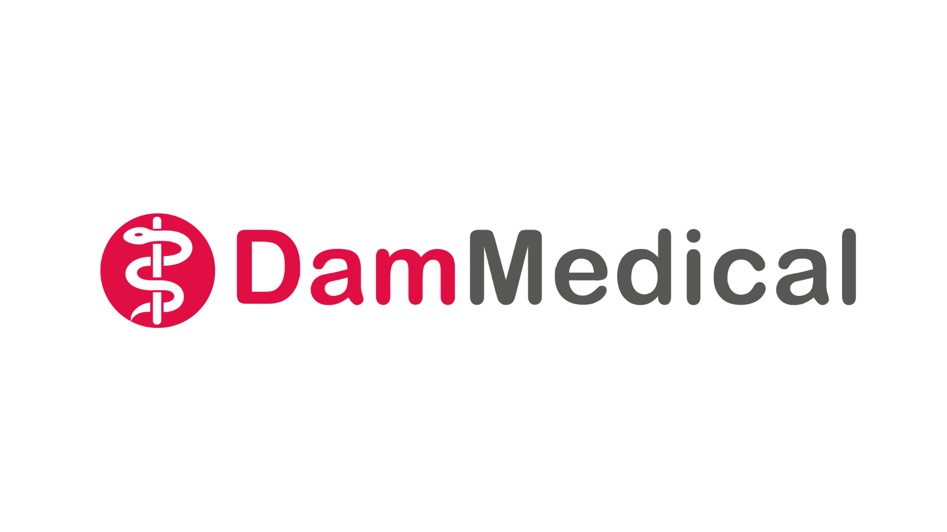 DAM Medical BV