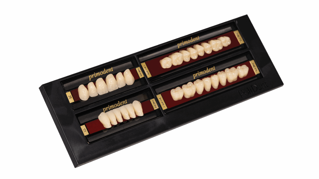 Primodent artificial acrylic teeth