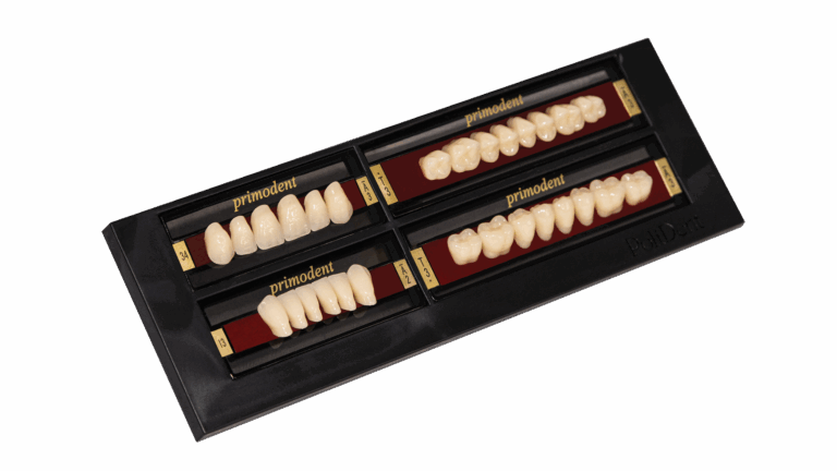 Primodent artificial acrylic teeth