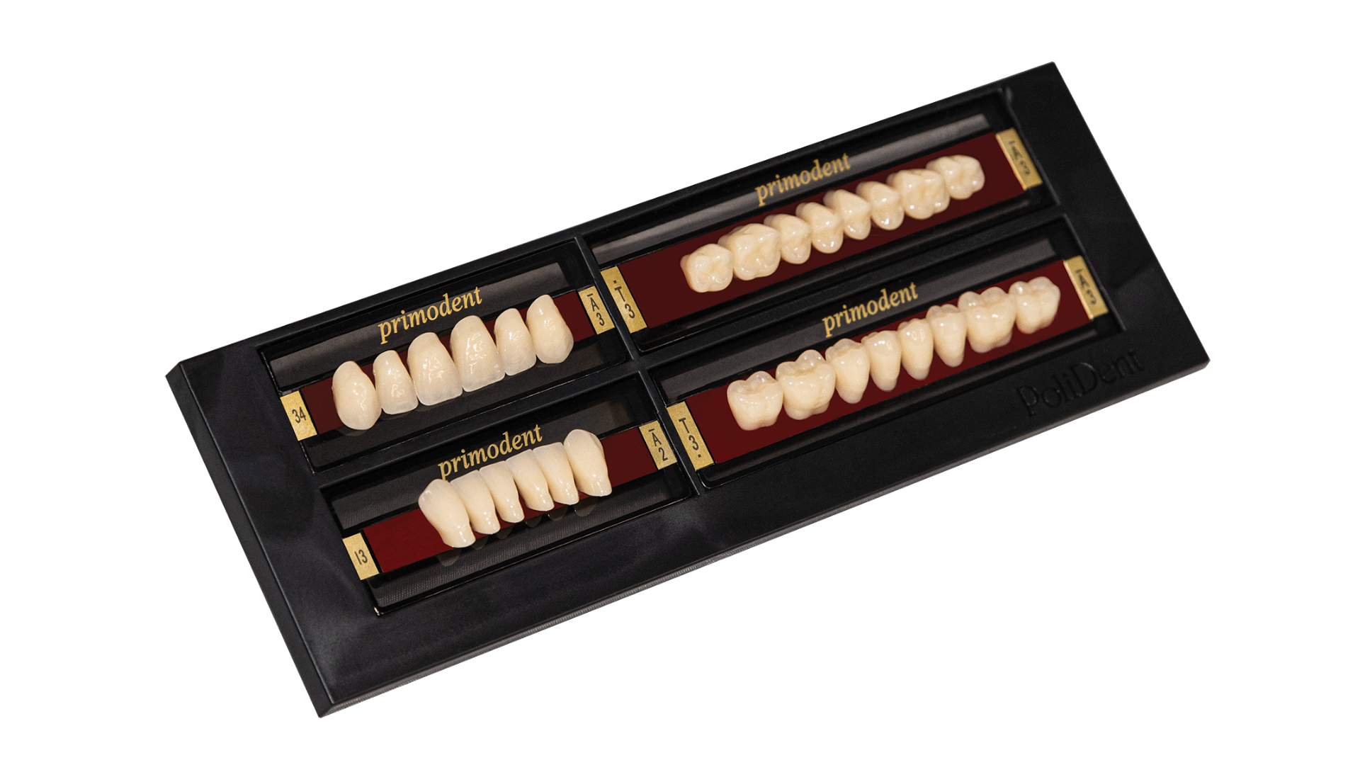 Primodent artificial acrylic teeth