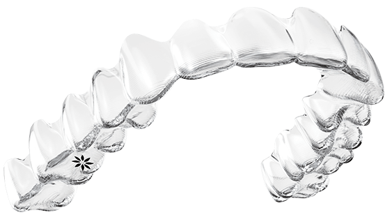 The Invisalign system