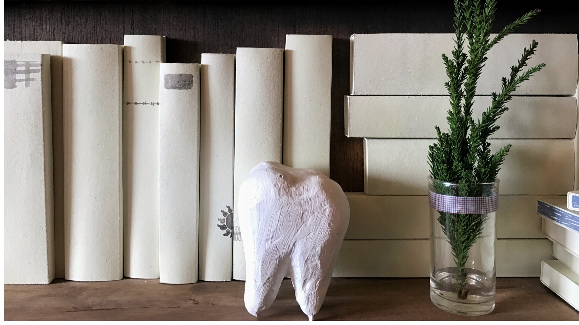 Opleiding Praktijkmanager I – de basis voor de praktijkmanager