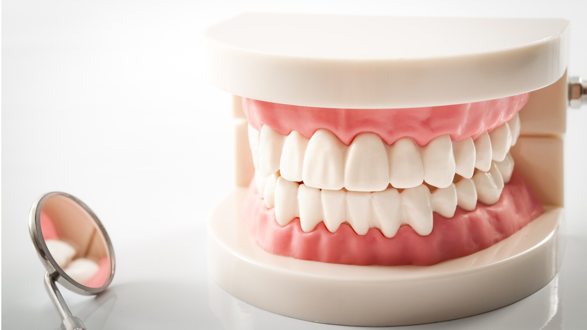 Opleiding Tandartsassistent