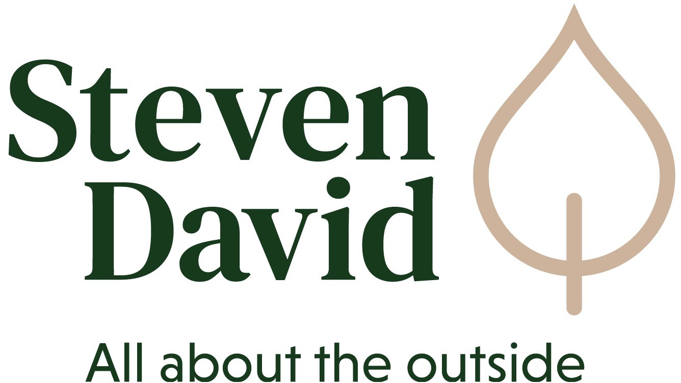 Steven David