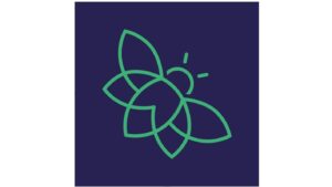 Vliegenraam-online.be