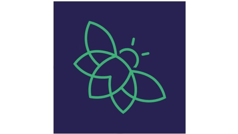 Vliegenraam-online.be