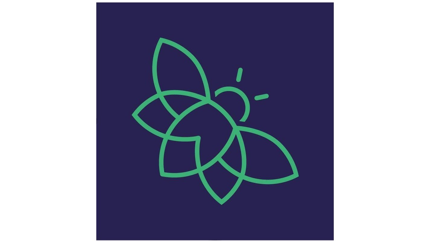 Vliegenraam-online.be