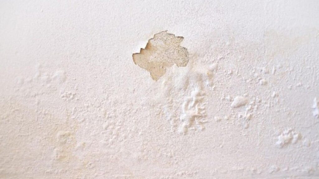 Waarom vochtwerende verf geen oplossing is voor vocht in huis?