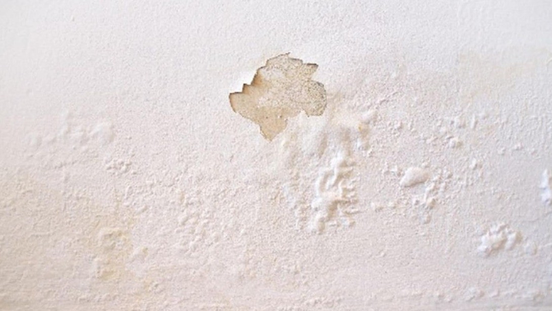 Waarom vochtwerende verf geen oplossing is voor vocht in huis?