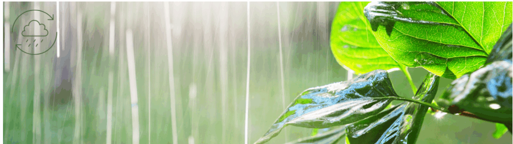 Aqua Service Systems