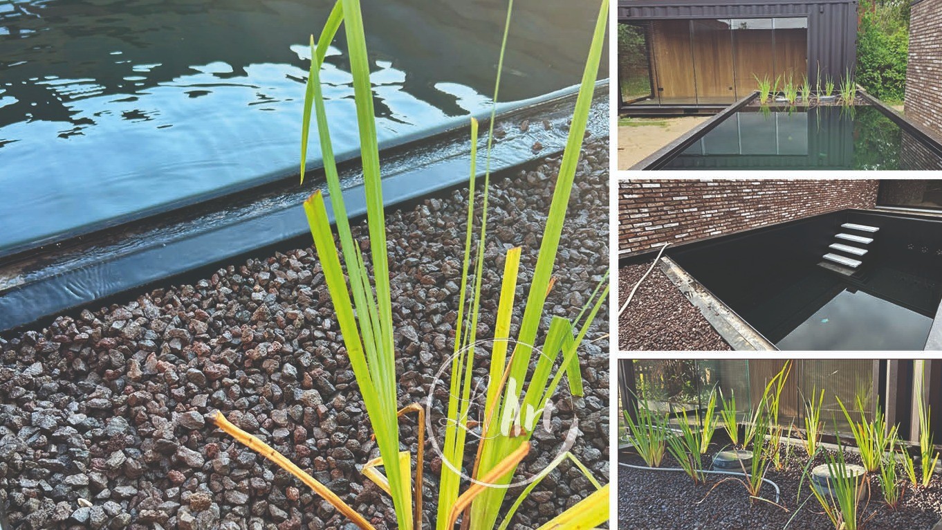 Zeecontainer Zwemvijver