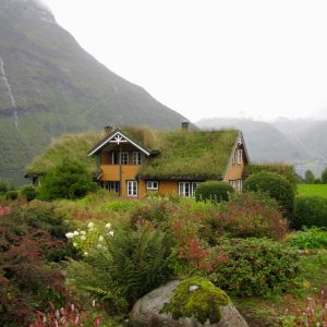 Groen dak op een huis