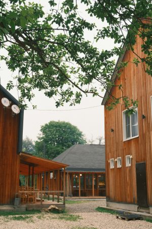 Bron: Tanya Nikan - Unsplash