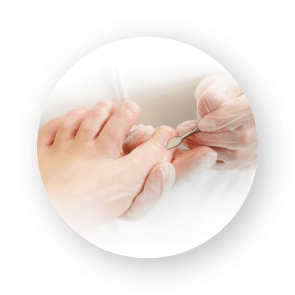 pedicure beurs groothandel opleiding beauty groothandel