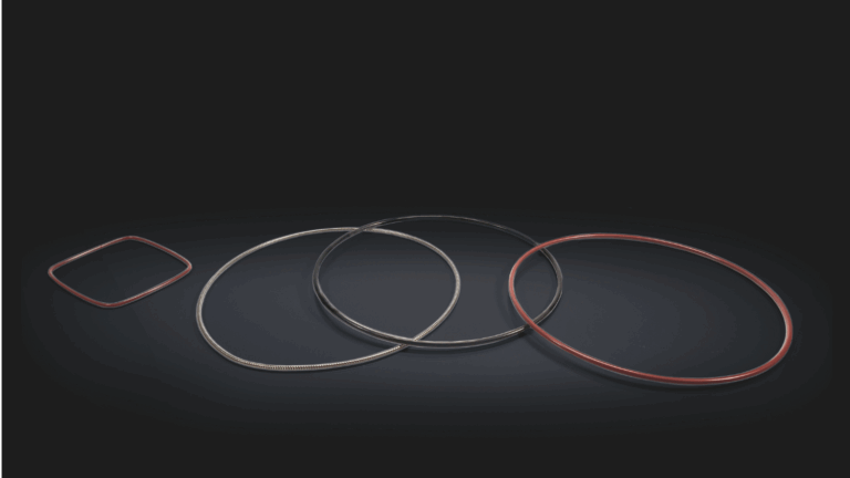 FEP-/PFA-Ummantelte O-Ringe