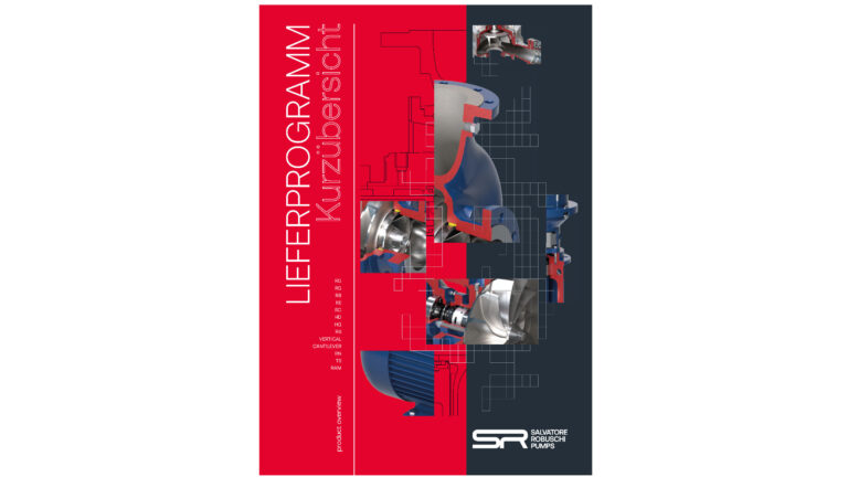 ROBUSCHI process pumps