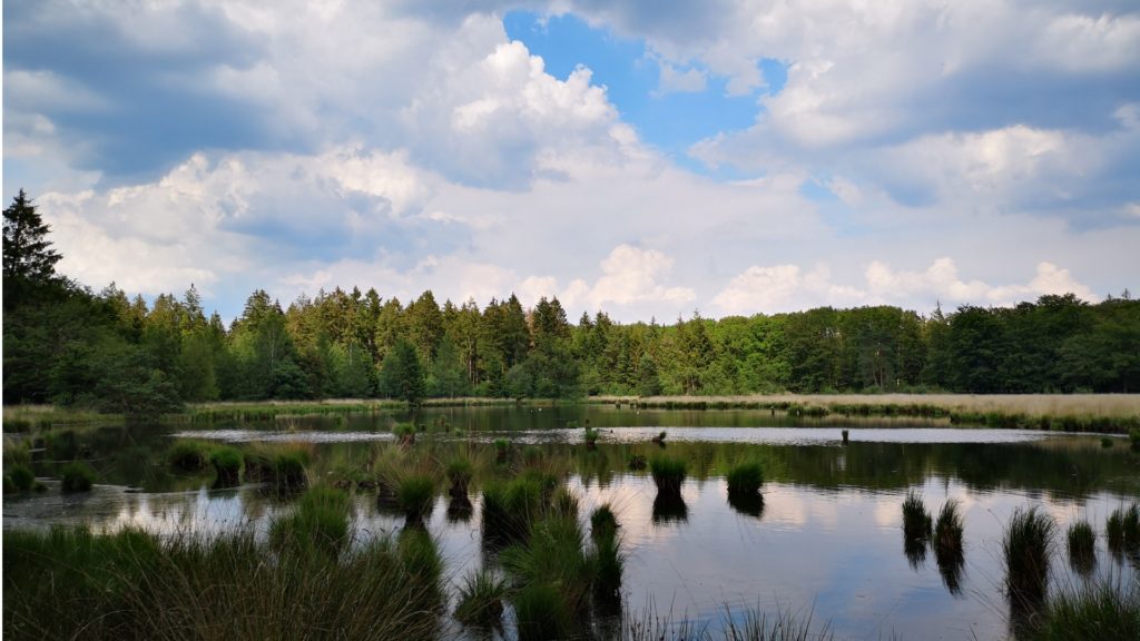 Klimaatadaptieve gebiedsinrichting