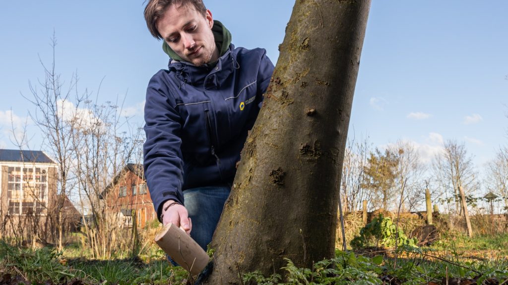 Boomtechnisch onderzoek en advies