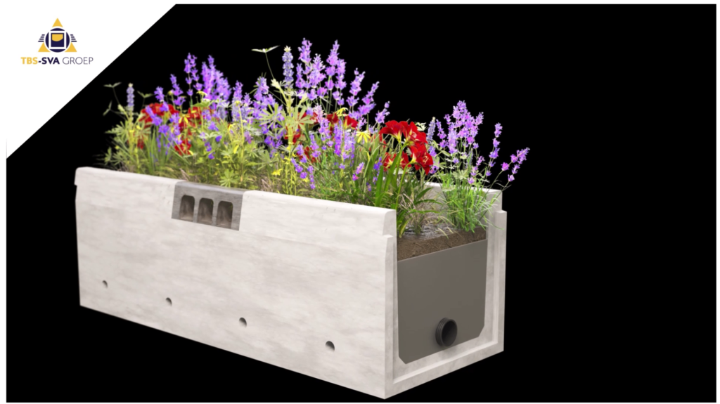 MINI RAINGARDEN