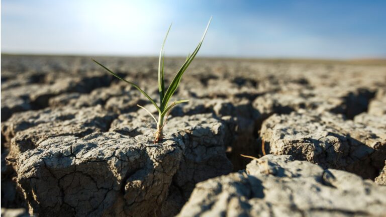 Hergebruik gezuiverd afvalwater als oplossing tegen droogte?
