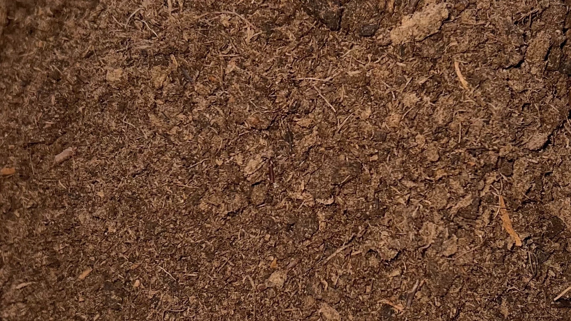 ETEPEK Natural Peat Moss Dutch Poultry Expo