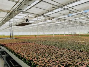 Installatie en onderhoud aan de scherminstallatie en insectengaassystemen