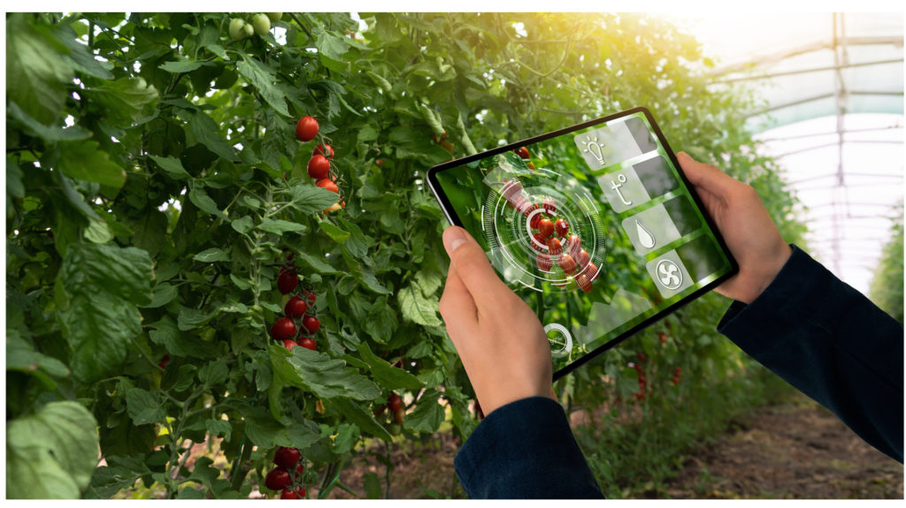 Risicomanagement in de tuinbouw en akkerbouw