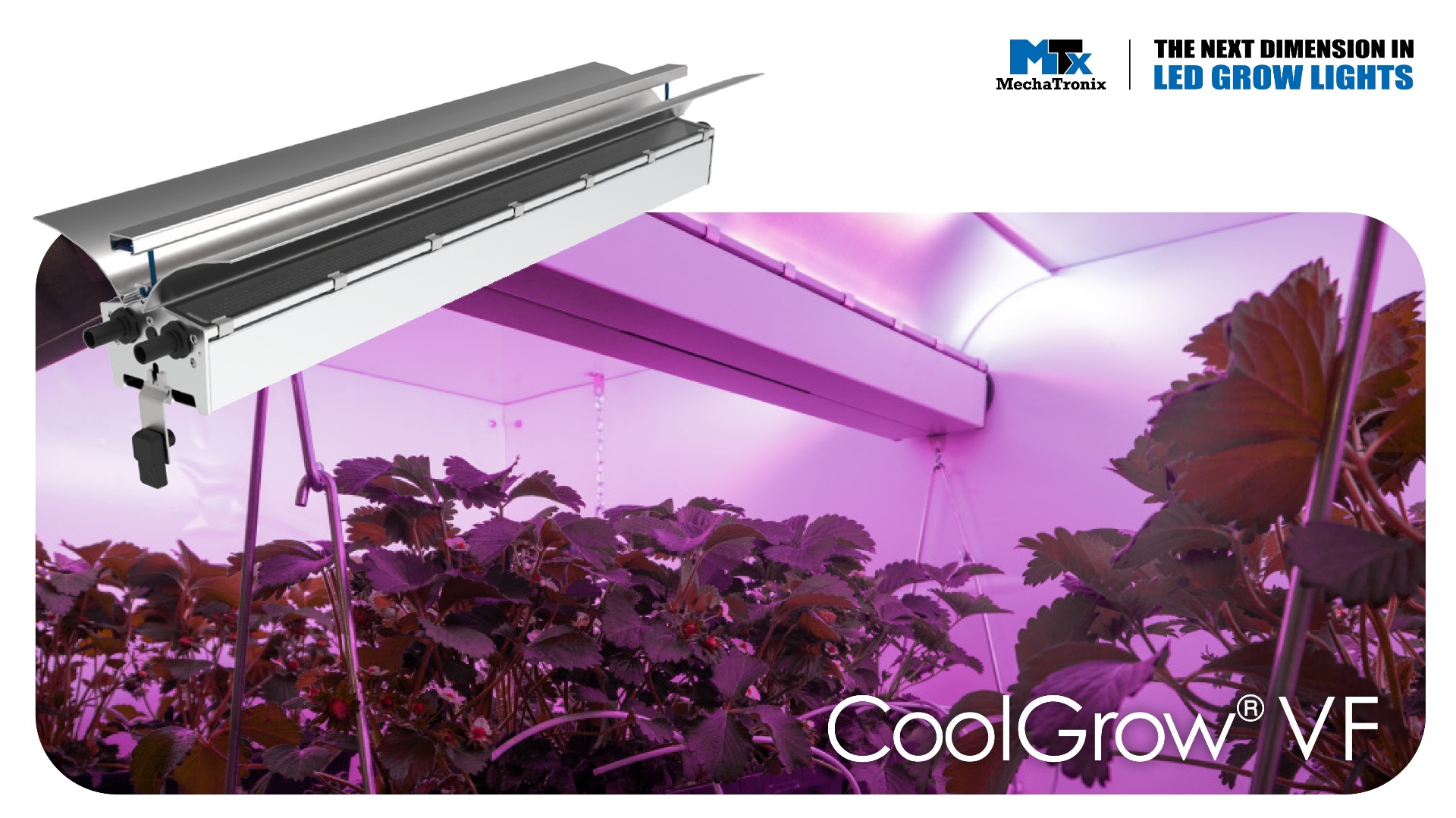 CoolGrow® VF – Indoor Grow Lighting Reinvented