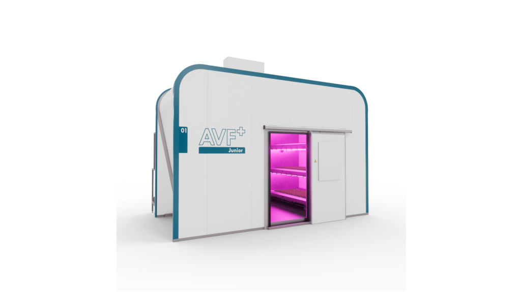 AVF+ Junior (Research)