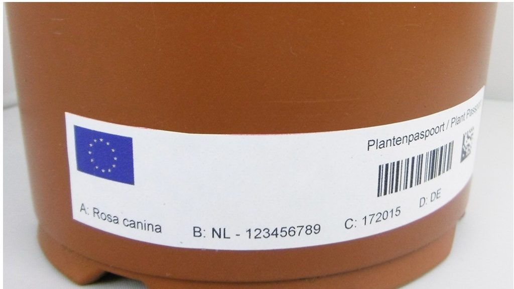 Print & Apply systems