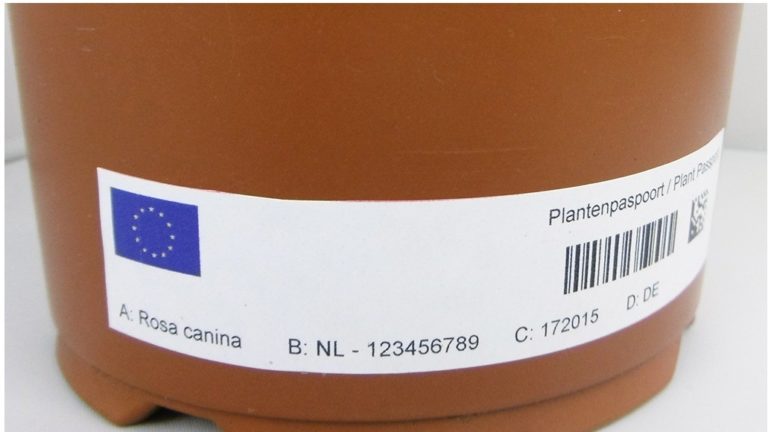 Print & Apply systems