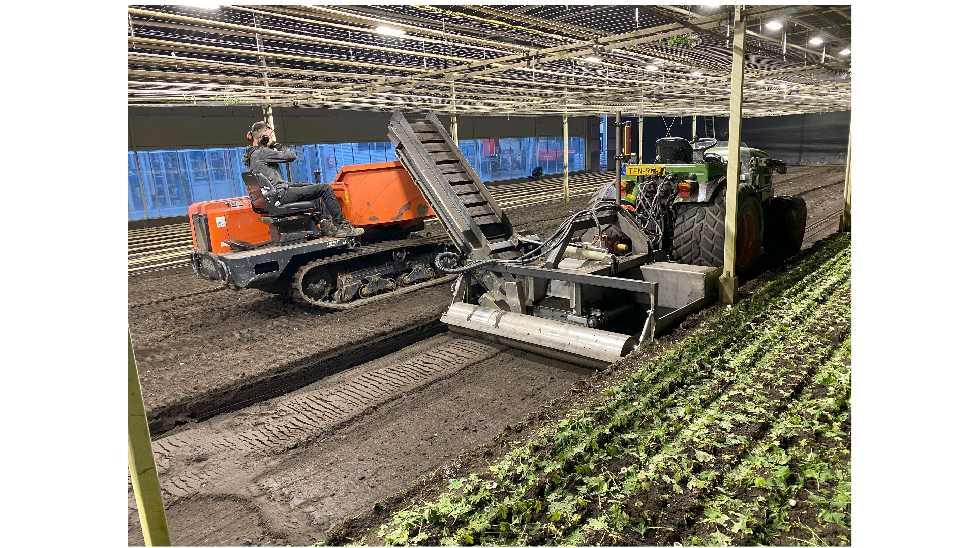 Teeltlaag afgraven Chrysanten