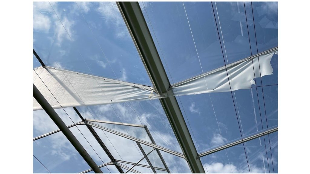 Ridge seals & Ridge screens