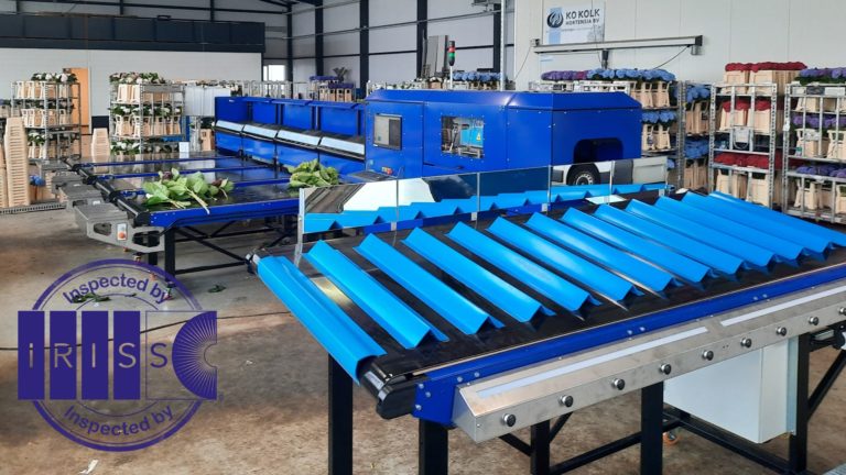 4MT IRISS Hydrangea Sorting Machine