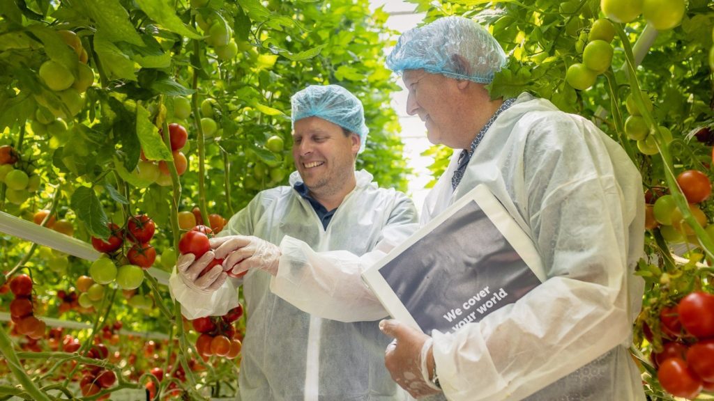 15 jaar duurzaamheid met Duijvestijn Tomaten en SchermNed