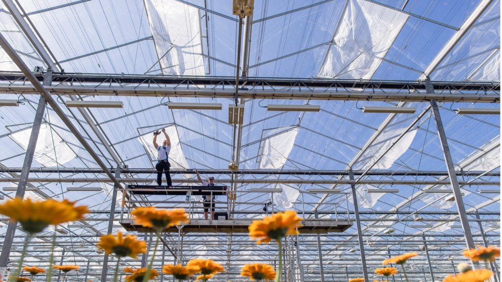 Drones filmen insectengaas wat wereldwijd toepasbaar is