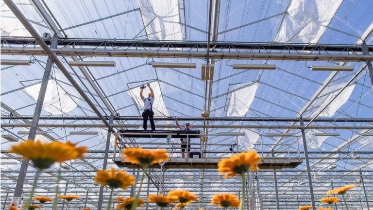 SchermNed insectengaas filter systeem