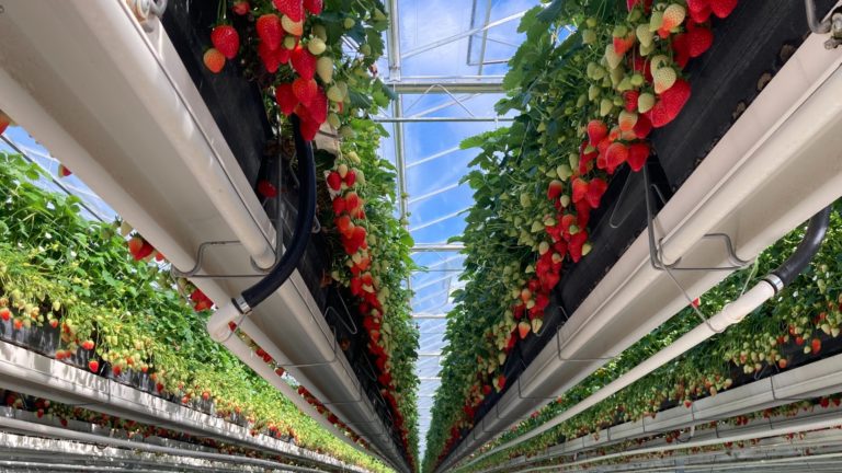 FormFlex® Cultivation Gutters