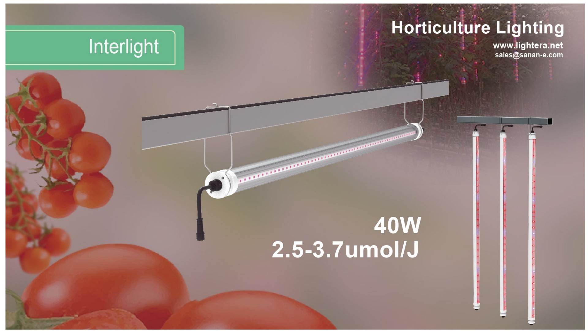 Interlight 2.8umol/J PPE full spectrum LED grow Light for indoor & Greenhouse Solution