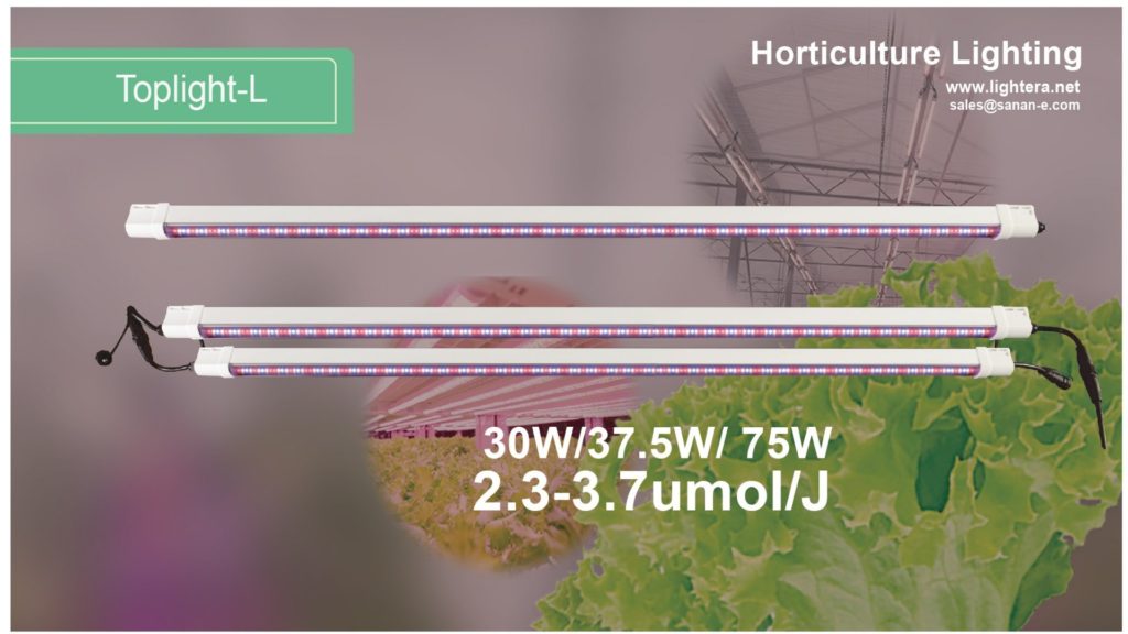 Linear Top grow light 30W indoor Hydroponics & Greenhouse full spectrum