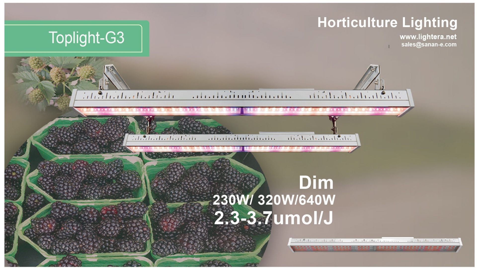 Greenhouse Top Light High Power Full Spectrum G3 single 320W 2.5umol/J LED Grow Light fixture for Horticulture Solution