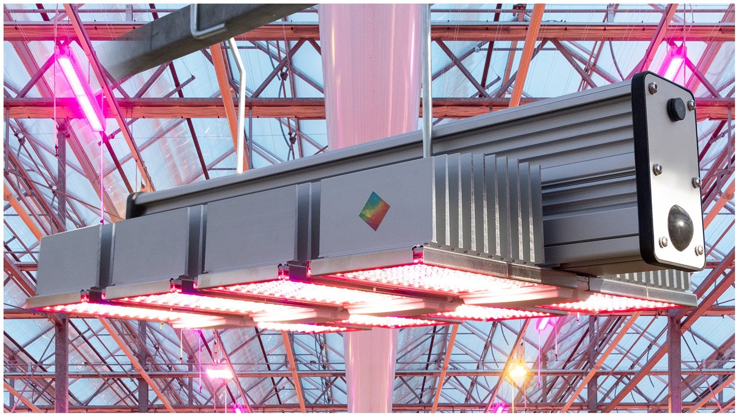 Hortilux introduceert nieuwe LED-lijn met een rendement tot 4,1 μmol/J en een output van 5500 μmol