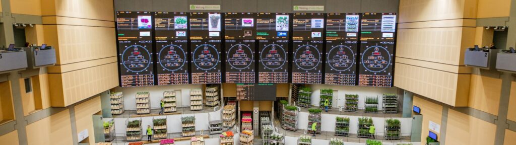 Veiling Rhein-Maas GmbH & Co. KG