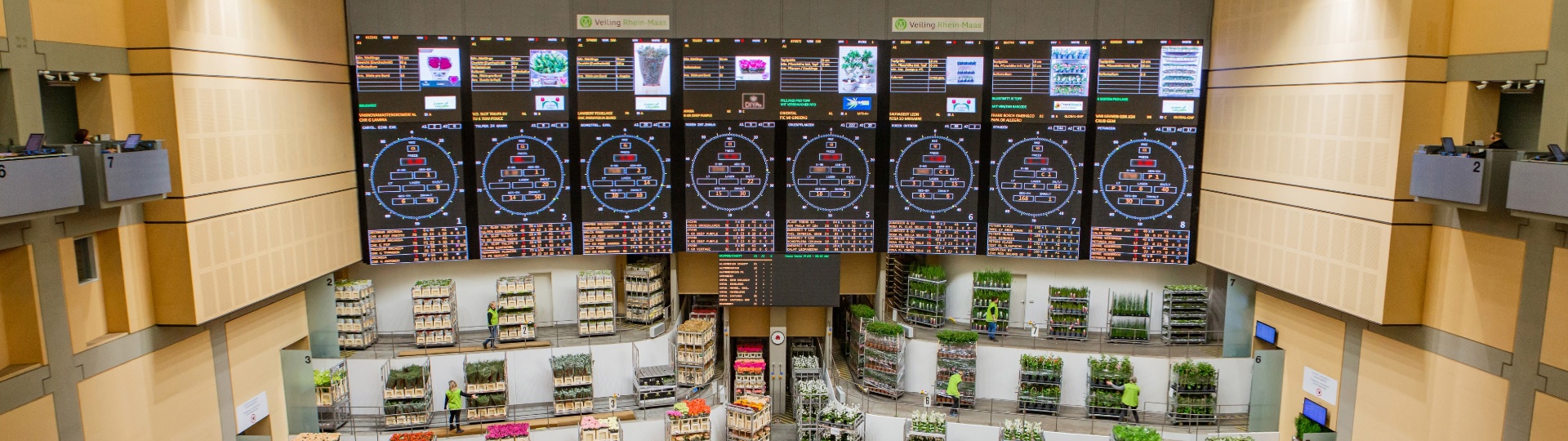 Veiling Rhein-Maas GmbH & Co. KG