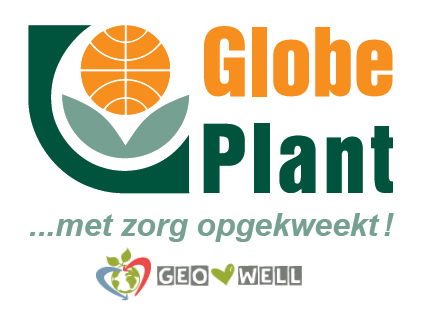 Globe Plant BV