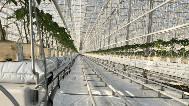 Aanbod kasonderdelen