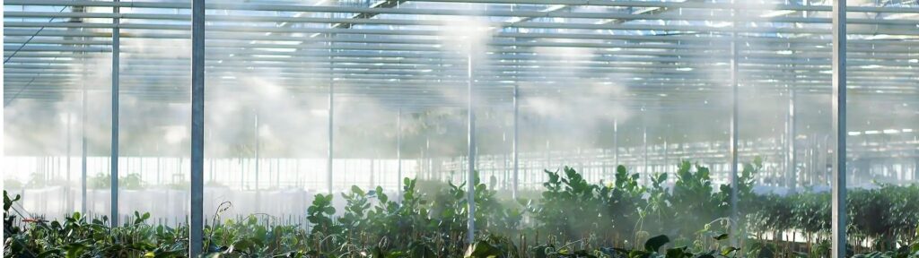 Dutchbeek Industries BV