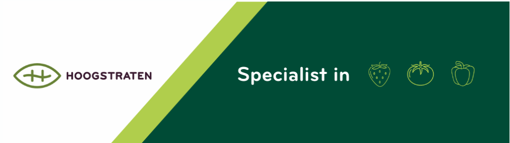 Coöperatie Hoogstraten