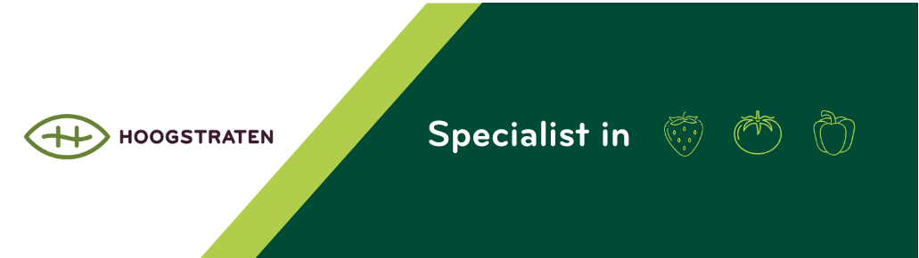 Coöperatie Hoogstraten