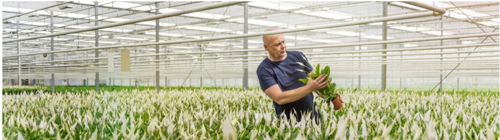 Sazas Uw Verzuimspecialist